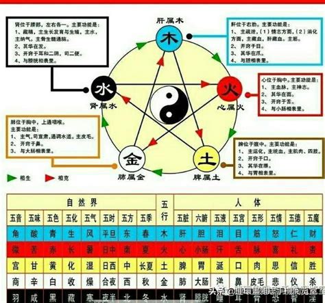 金木水火土五行查询表|金木水火土五行查询表